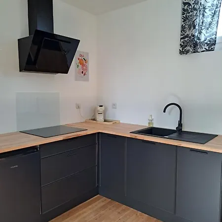 Appartement Calme Dans Maisonnette Graulhet Extérieur photo